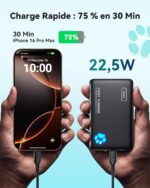 Batterie-Externe-Ipad-Pro-charge-rapide.jpg