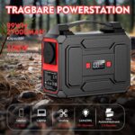 Batterie-Externe-230V-100W.jpg