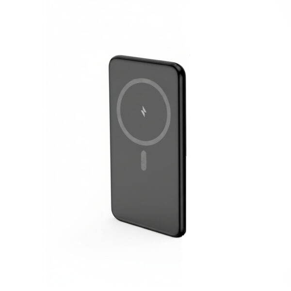 Batterie Externe Induction