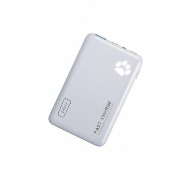 Powerbank Voyage